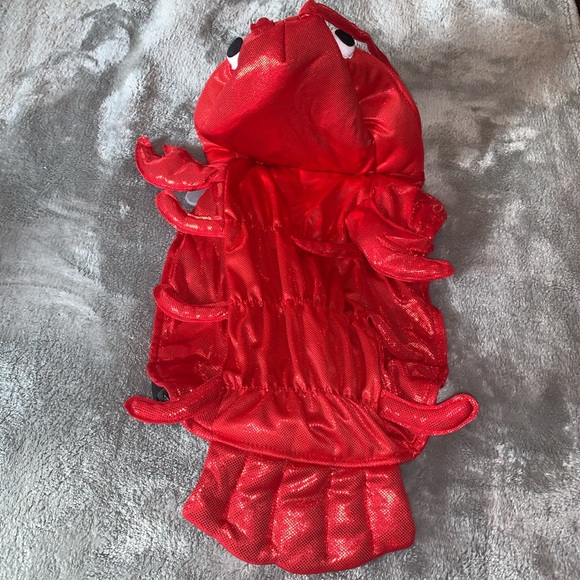 Size Medium Pet Halloween Costume Red Lobster Dog Celebrate New - Picture 3 of 4